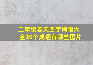 二年级春天四字词语大全20个成语有哪些图片