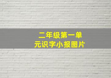 二年级第一单元识字小报图片