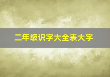 二年级识字大全表大字