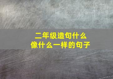 二年级造句什么像什么一样的句子