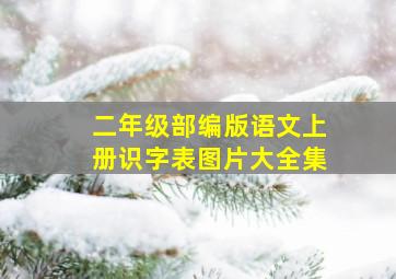 二年级部编版语文上册识字表图片大全集