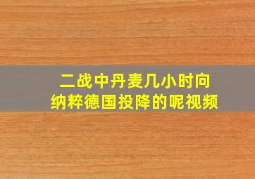 二战中丹麦几小时向纳粹德国投降的呢视频