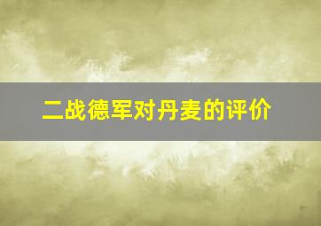 二战德军对丹麦的评价