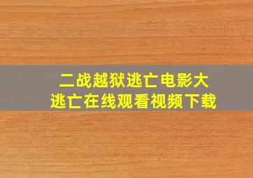 二战越狱逃亡电影大逃亡在线观看视频下载