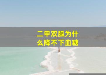 二甲双胍为什么降不下血糖