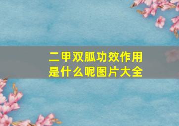 二甲双胍功效作用是什么呢图片大全