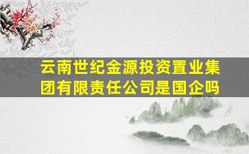 云南世纪金源投资置业集团有限责任公司是国企吗