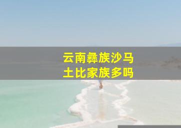 云南彝族沙马土比家族多吗