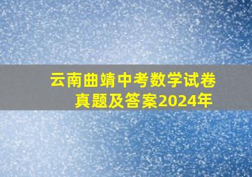 云南曲靖中考数学试卷真题及答案2024年