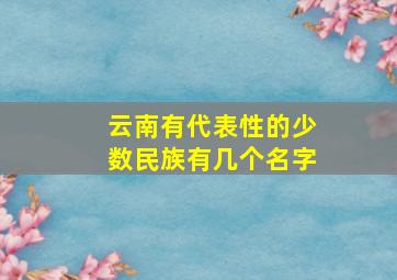 云南有代表性的少数民族有几个名字