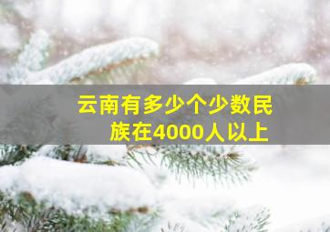 云南有多少个少数民族在4000人以上