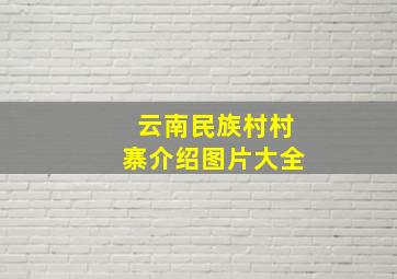 云南民族村村寨介绍图片大全