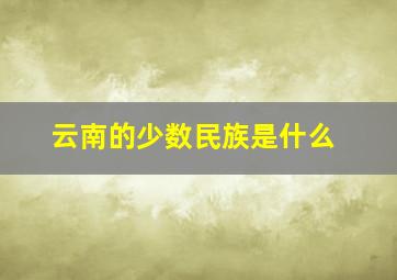 云南的少数民族是什么