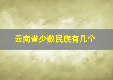 云南省少数民族有几个