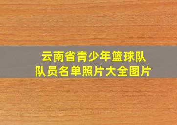 云南省青少年篮球队队员名单照片大全图片