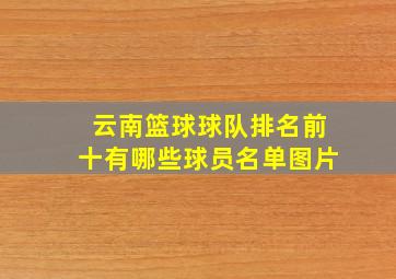 云南篮球球队排名前十有哪些球员名单图片