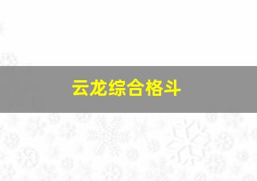 云龙综合格斗