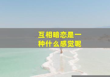 互相暗恋是一种什么感觉呢