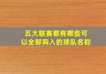 五大联赛都有哪些可以全部购入的球队名称