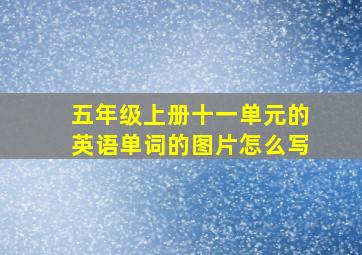 五年级上册十一单元的英语单词的图片怎么写