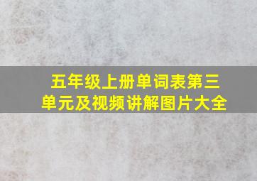 五年级上册单词表第三单元及视频讲解图片大全