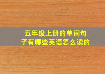 五年级上册的单词句子有哪些英语怎么读的