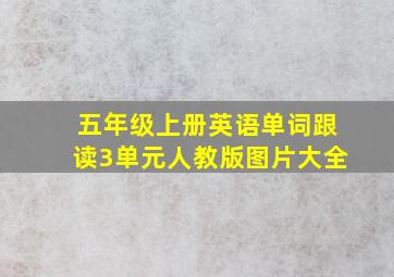 五年级上册英语单词跟读3单元人教版图片大全