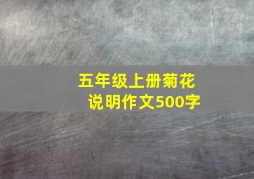 五年级上册菊花说明作文500字