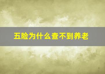 五险为什么查不到养老