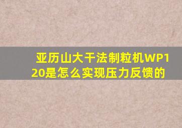 亚历山大干法制粒机WP120是怎么实现压力反馈的