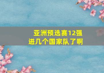 亚洲预选赛12强进几个国家队了啊