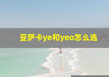 亚萨卡ye和yeo怎么选