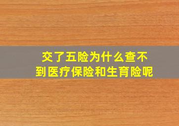 交了五险为什么查不到医疗保险和生育险呢