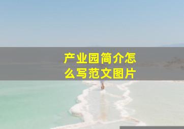 产业园简介怎么写范文图片