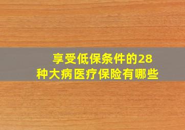 享受低保条件的28种大病医疗保险有哪些