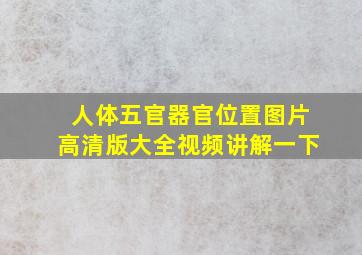 人体五官器官位置图片高清版大全视频讲解一下