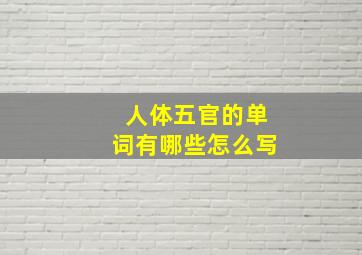 人体五官的单词有哪些怎么写