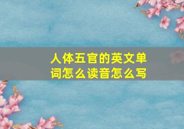 人体五官的英文单词怎么读音怎么写