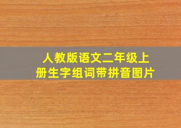 人教版语文二年级上册生字组词带拼音图片