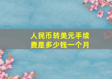 人民币转美元手续费是多少钱一个月