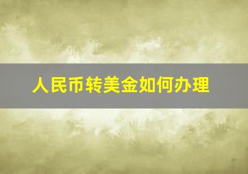 人民币转美金如何办理