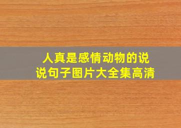 人真是感情动物的说说句子图片大全集高清