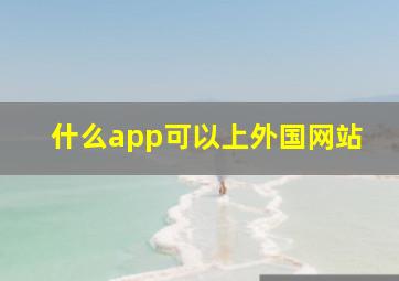 什么app可以上外国网站