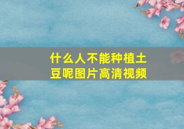 什么人不能种植土豆呢图片高清视频