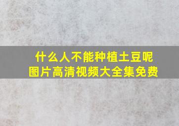 什么人不能种植土豆呢图片高清视频大全集免费