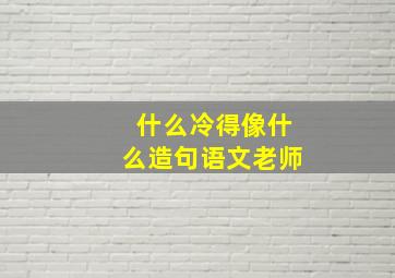 什么冷得像什么造句语文老师