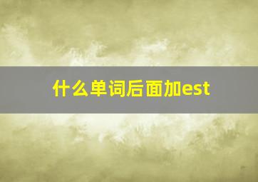 什么单词后面加est