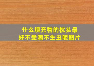 什么填充物的枕头最好不受潮不生虫呢图片