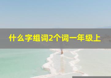 什么字组词2个词一年级上