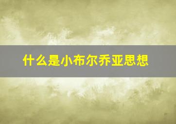 什么是小布尔乔亚思想